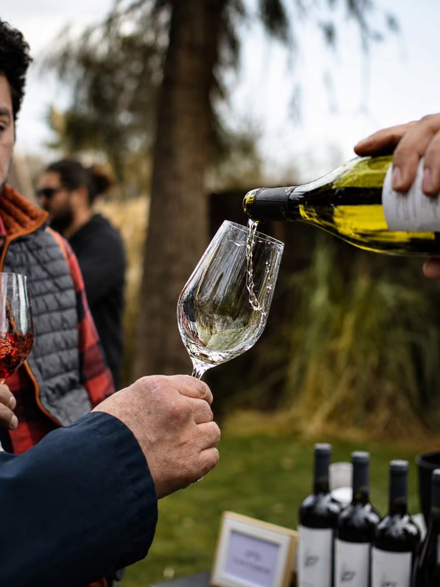 Degustación al aire libre